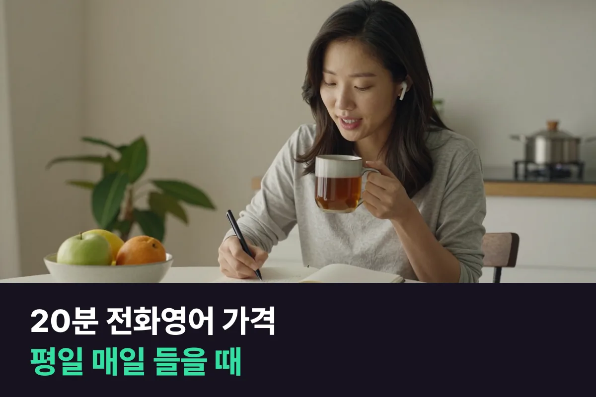 20분 전화영어 가격을 평일 매일(주5회) 들을 때 업체별 한 달 금액과 1회 값으로 정리했습니다